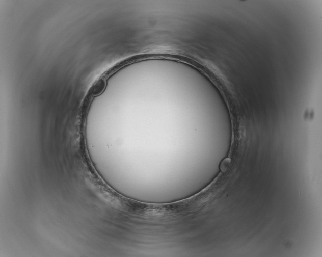 X0000111391364200907241324