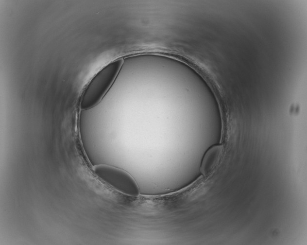 X0000111391365200907241324