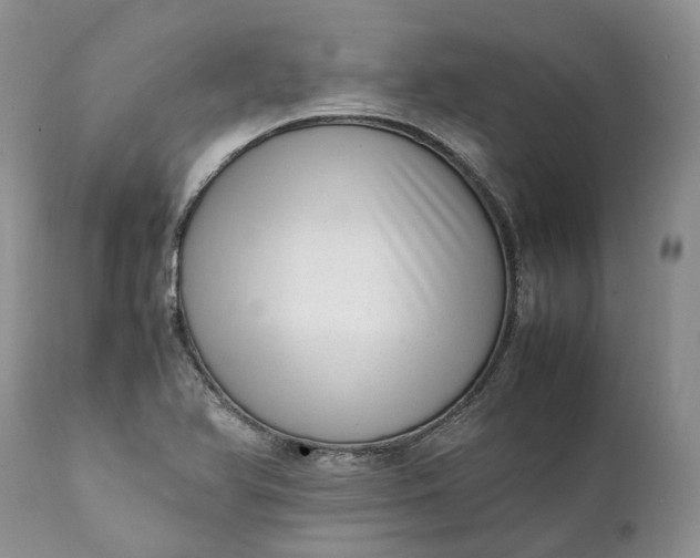 X0000111391366200907241324