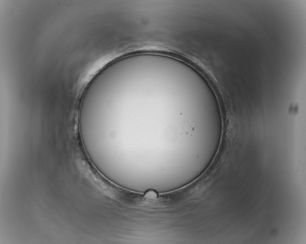 X0000111391367200907241324