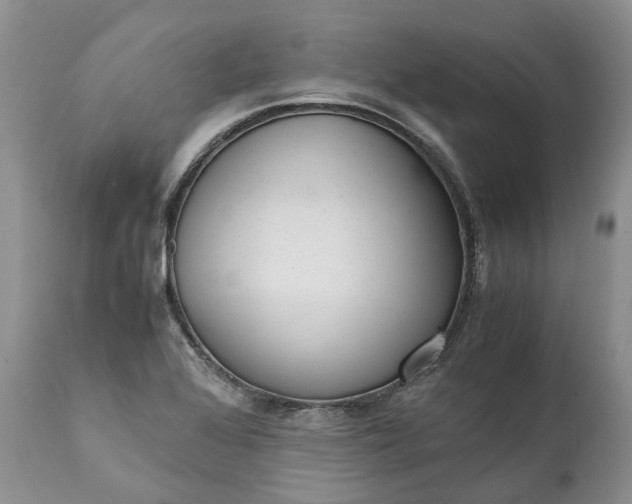 X0000111391368200907241324