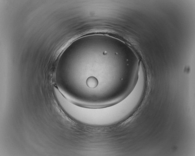 X0000111391369200907241324