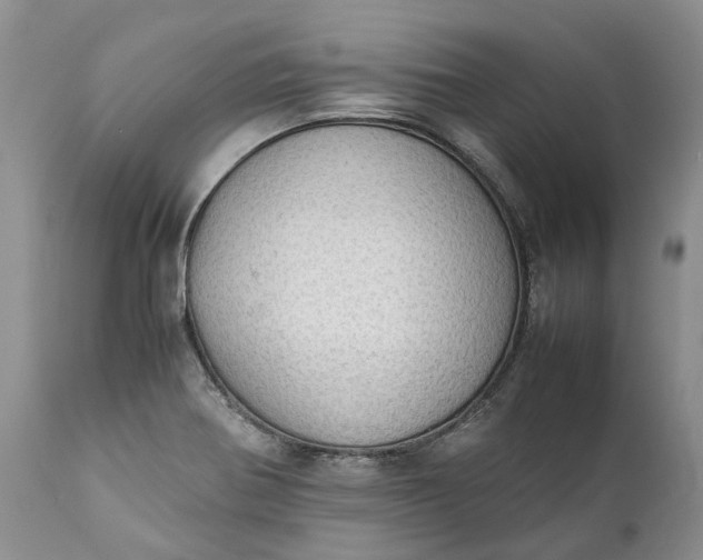 X0000111391370200907241324