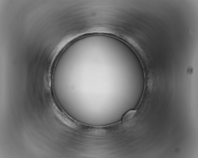 X0000111391372200907241324