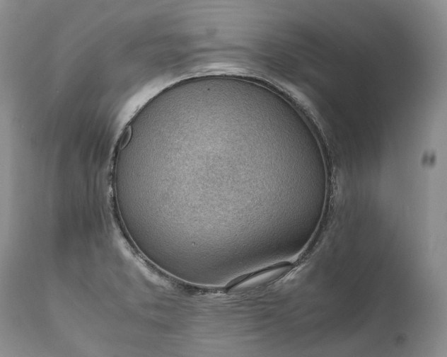 X0000111391373200907241324