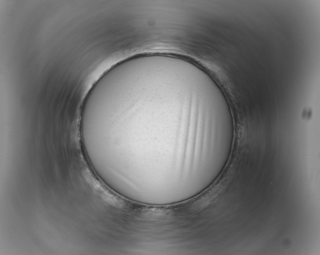 X0000111391374200907241324