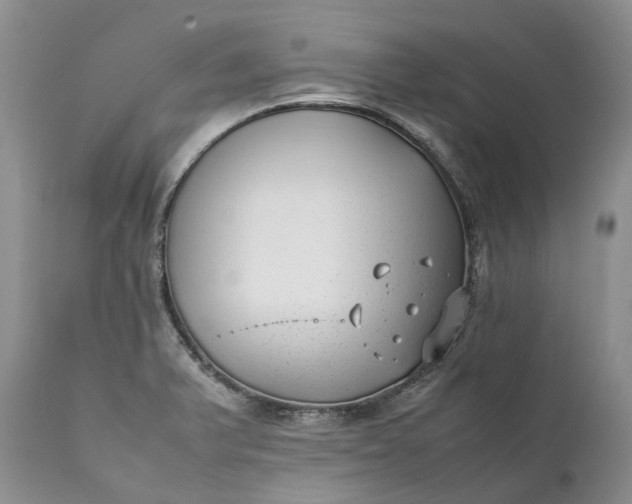 X0000111391375200907241324