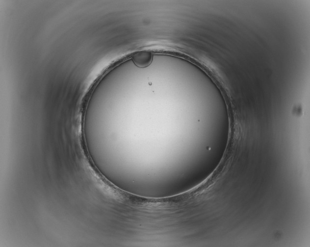 X0000111391376200907241324