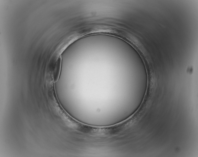 X0000111391377200907241324