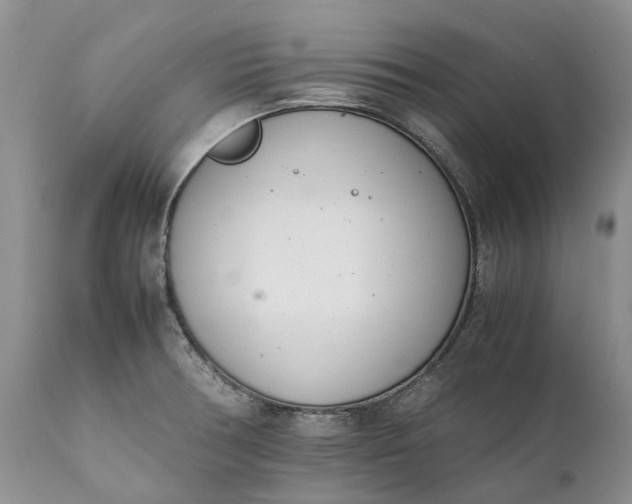 X0000111391378200907241324