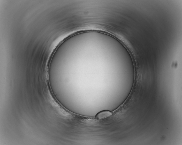 X0000111391380200907241323