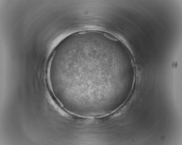 X0000111391381200907241323