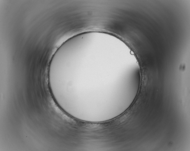 X0000111391382200907241323