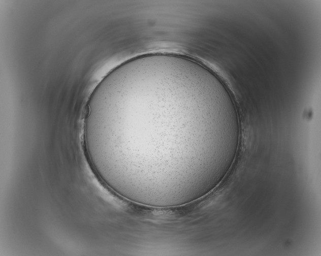 X0000111391383200907241323