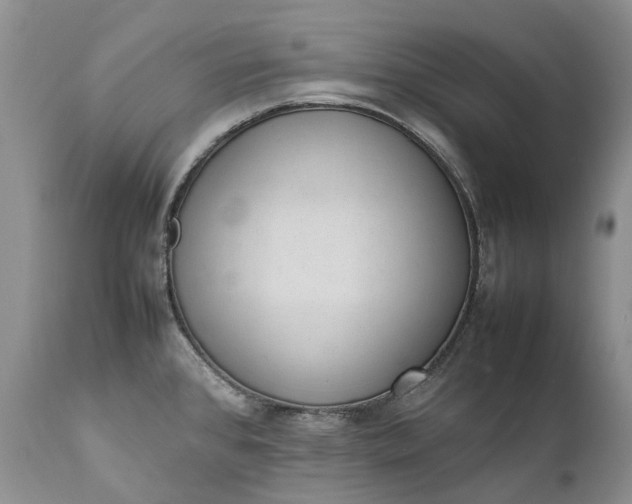 X0000111391384200907241323