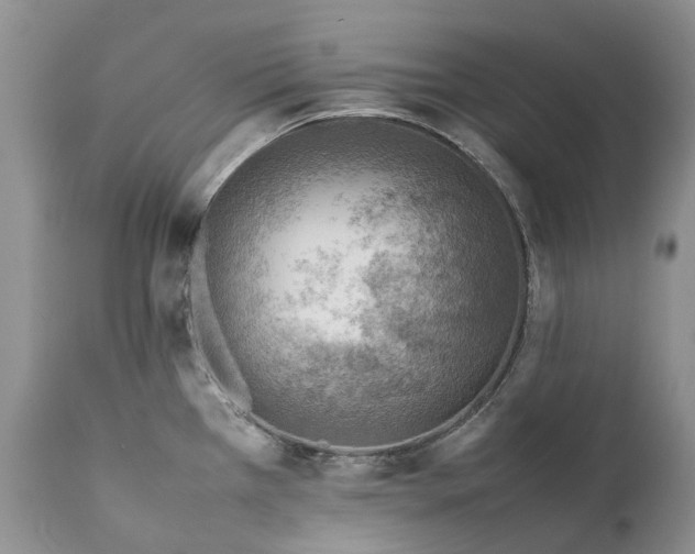 X0000111391385200907241323