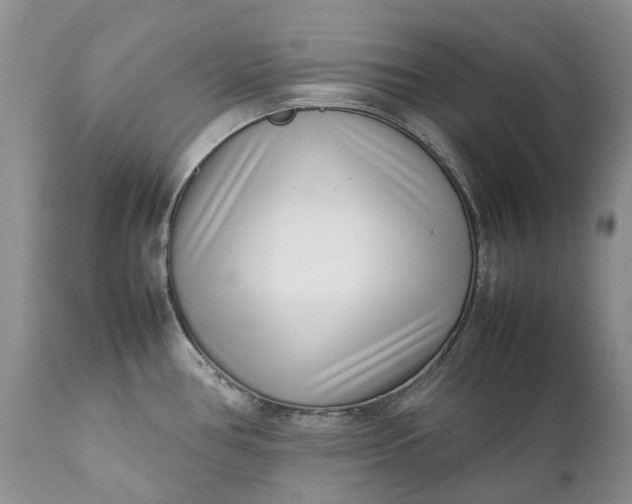 X0000111391386200907241323