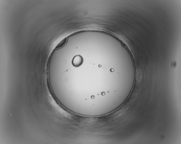 X0000111391387200907241323