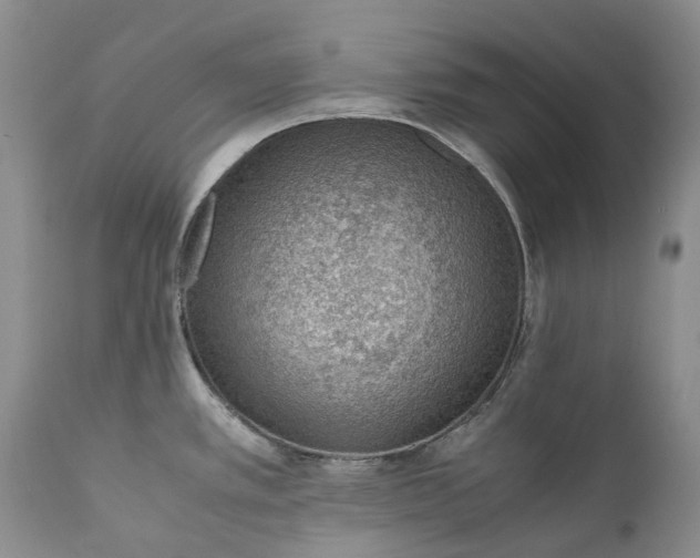 X0000111391389200907241323