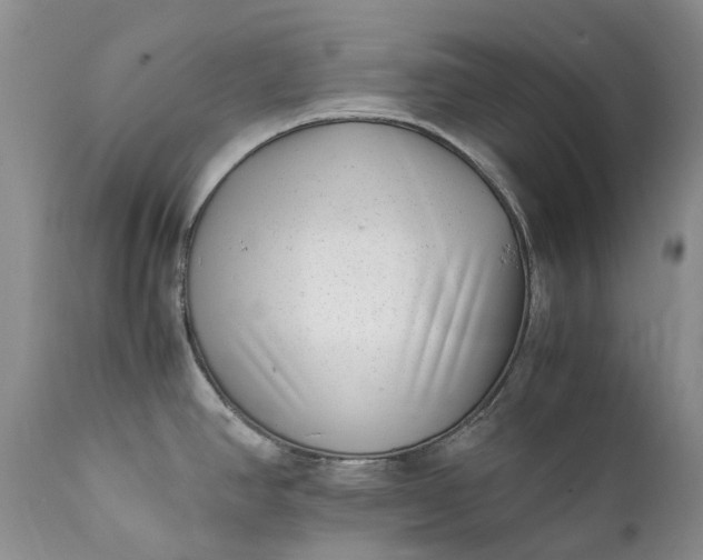 X0000111391390200907241323