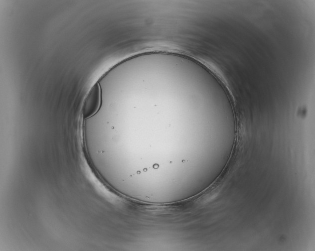 X0000111391391200907241323