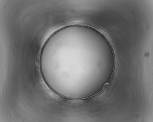 X0000111391392200907241323