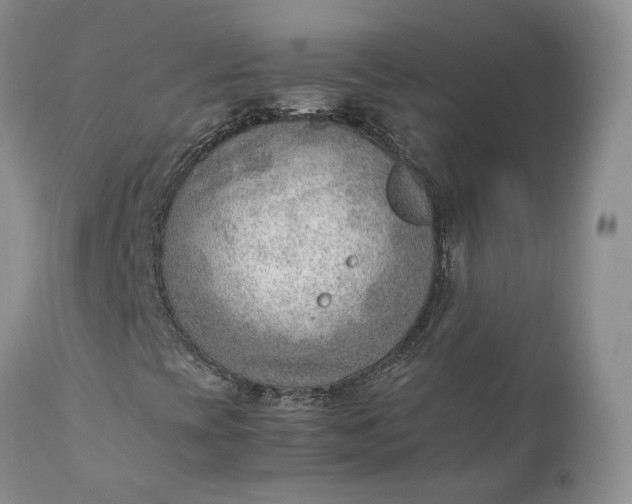 X0000111391393200907241322