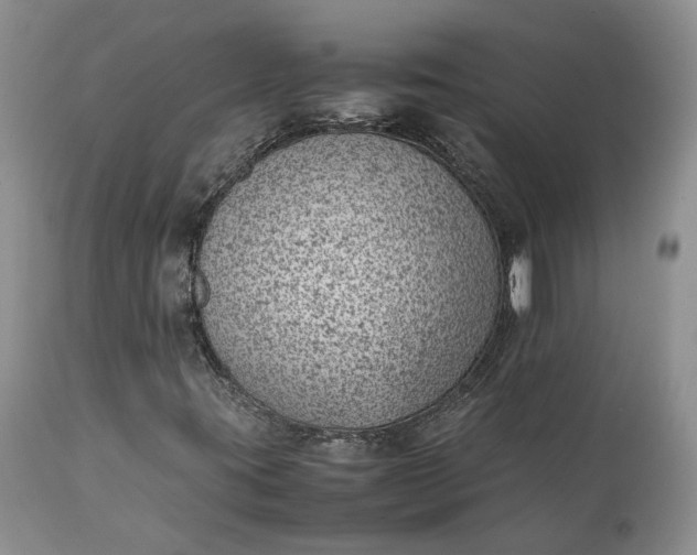 X0000111391395200907241322