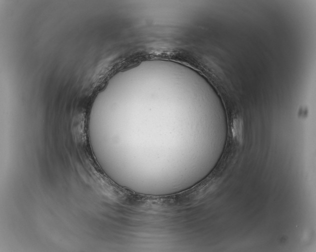 X0000111391396200907241322