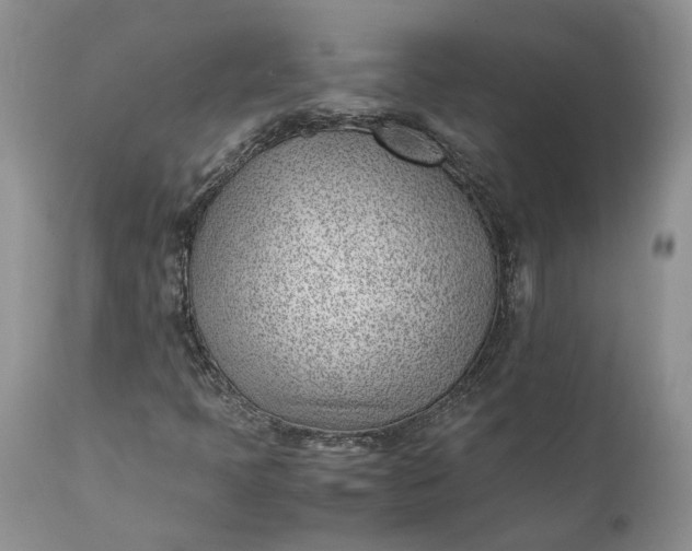 X0000111391397200907241322