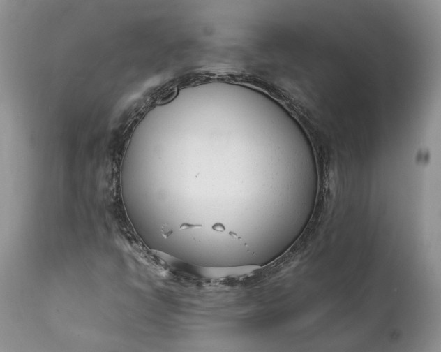 X0000111391398200907241322