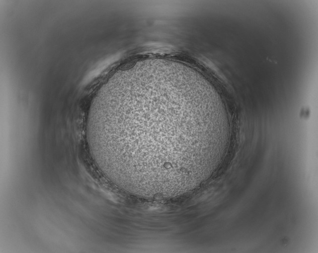 X0000111391399200907241322