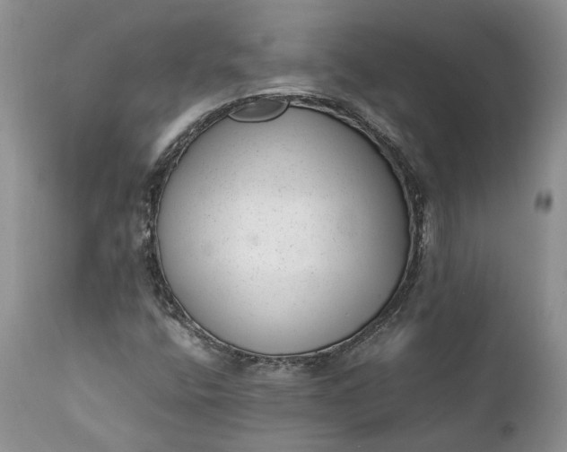 X0000111391400200907241322