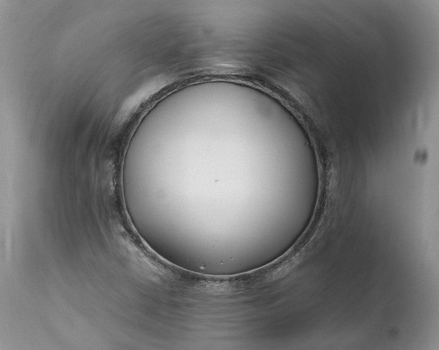 X0000111391402200907241322