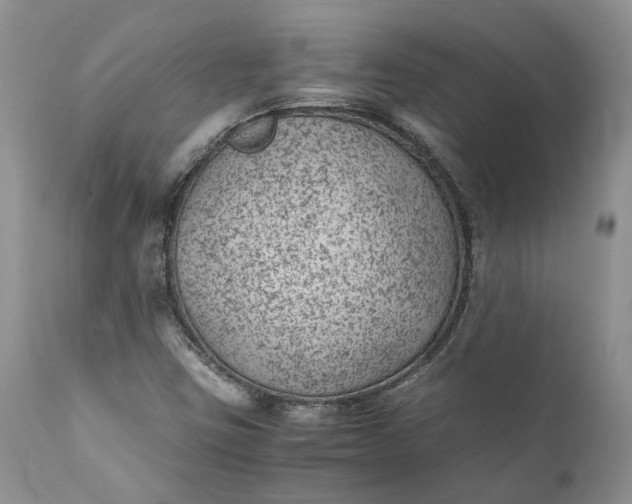 X0000111391403200907241322