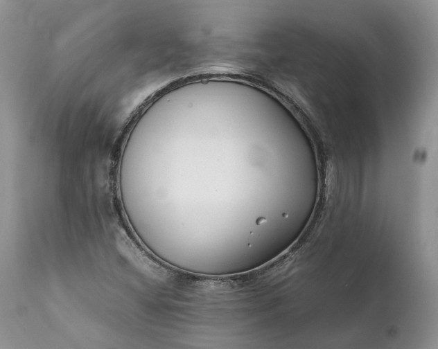 X0000111391404200907241322