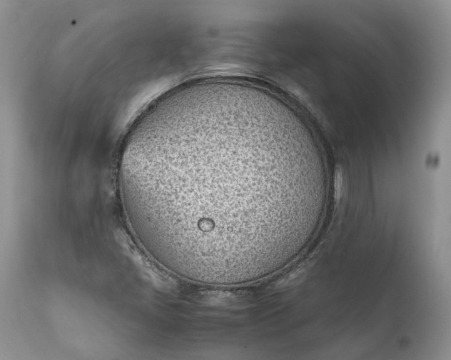 X0000111391405200907241322