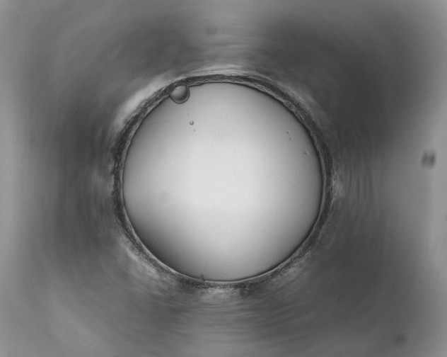 X0000111391406200907241323