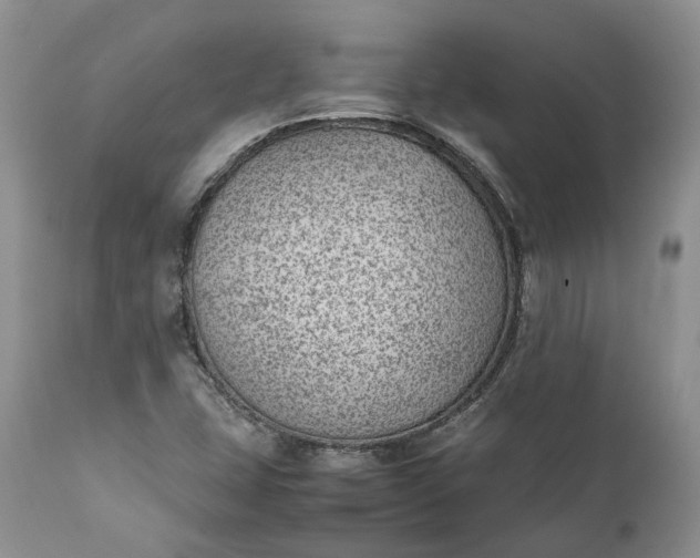 X0000111391407200907241323