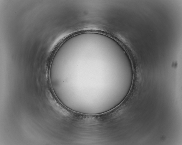 X0000111391408200907241323