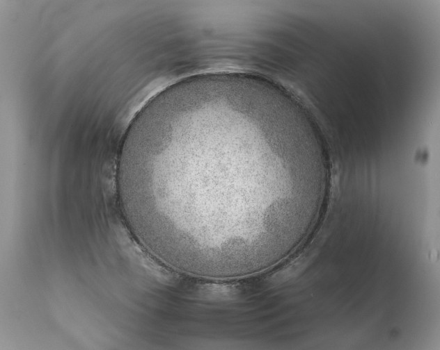 X0000111391409200907241323