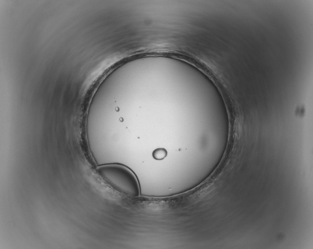 X0000111391410200907241323