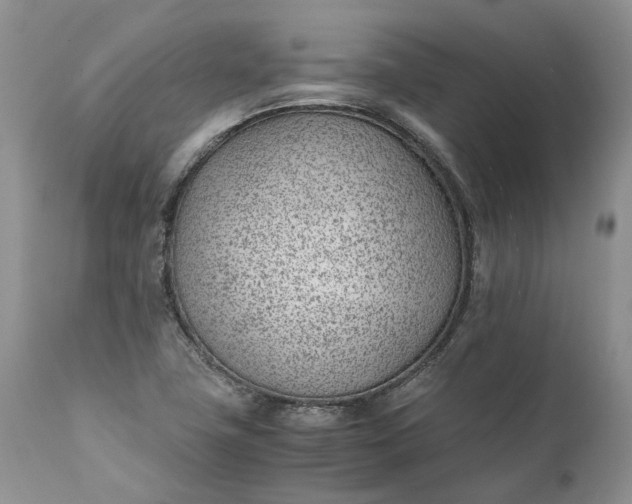 X0000111391411200907241323