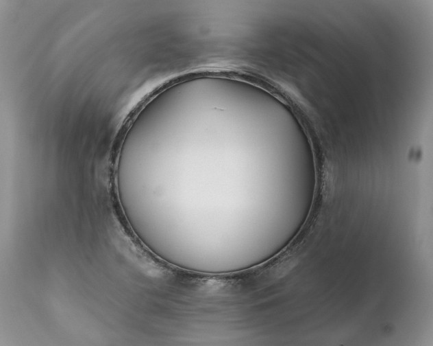 X0000111391412200907241323