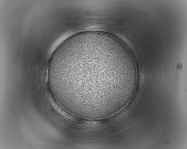 X0000111391413200907241323