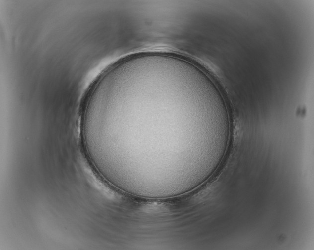 X0000111391414200907241323