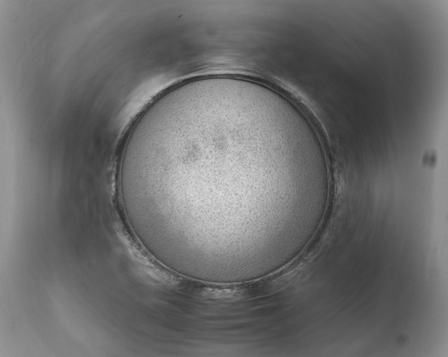 X0000111391415200907241323