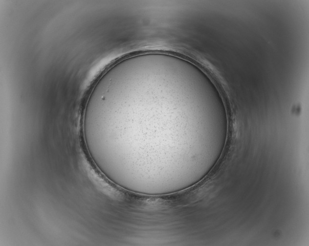 X0000111391416200907241323