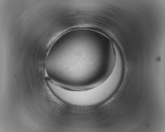 X0000111391417200907241323