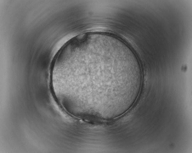 X0000111391418200907241323